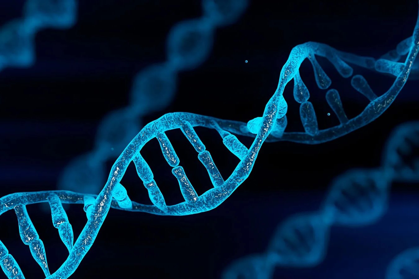 dna-transcription-quiz