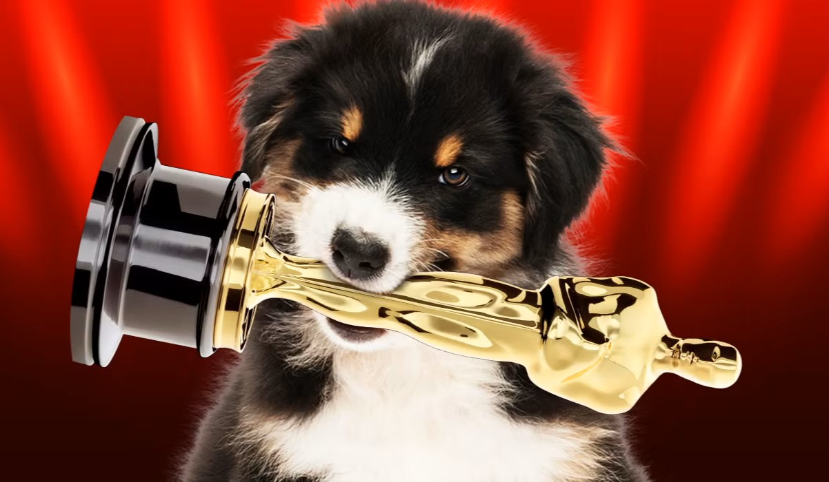 oscars-dog-quiz