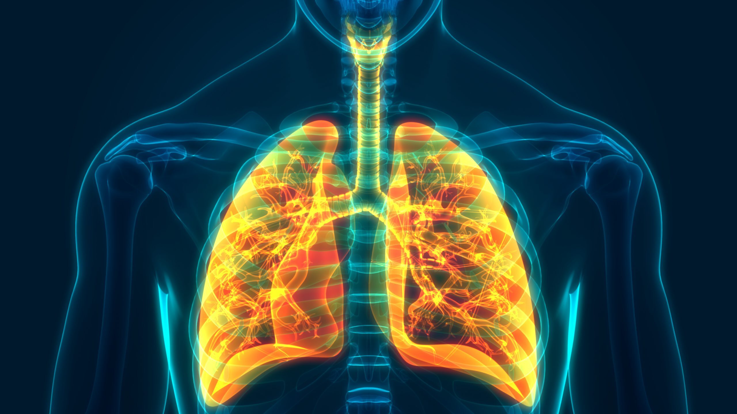 respiratory-system-quiz