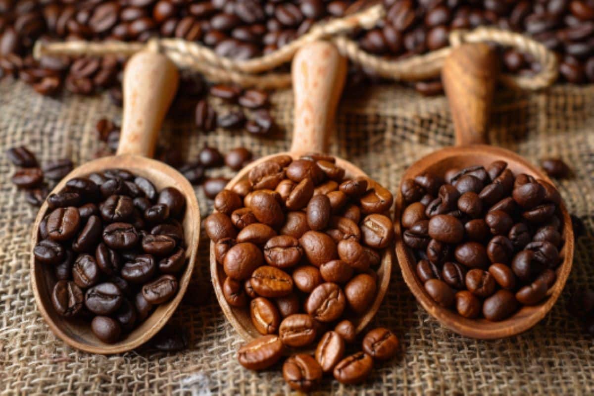 caffeine-quiz