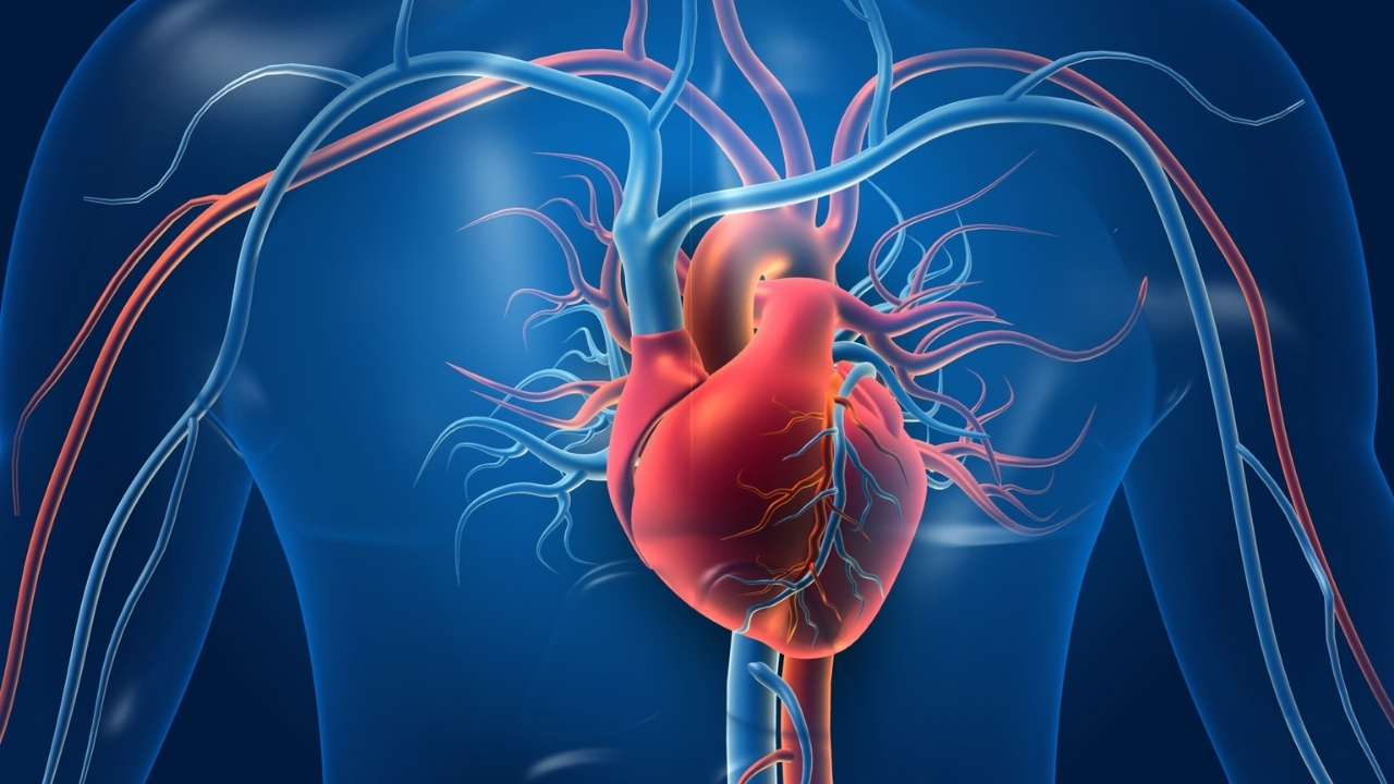 coronary-artery-quiz