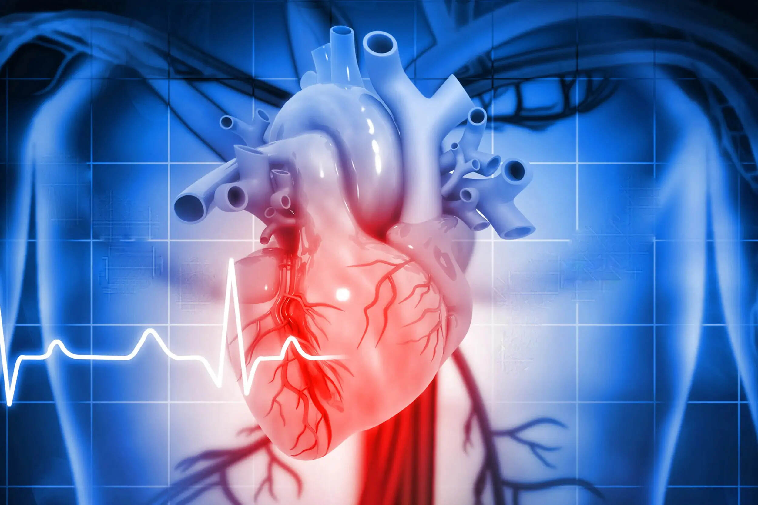 heart-diagram-quiz