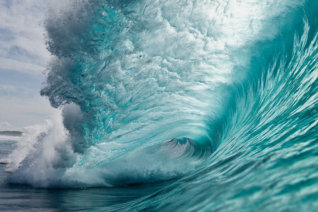 water-movement-quiz
