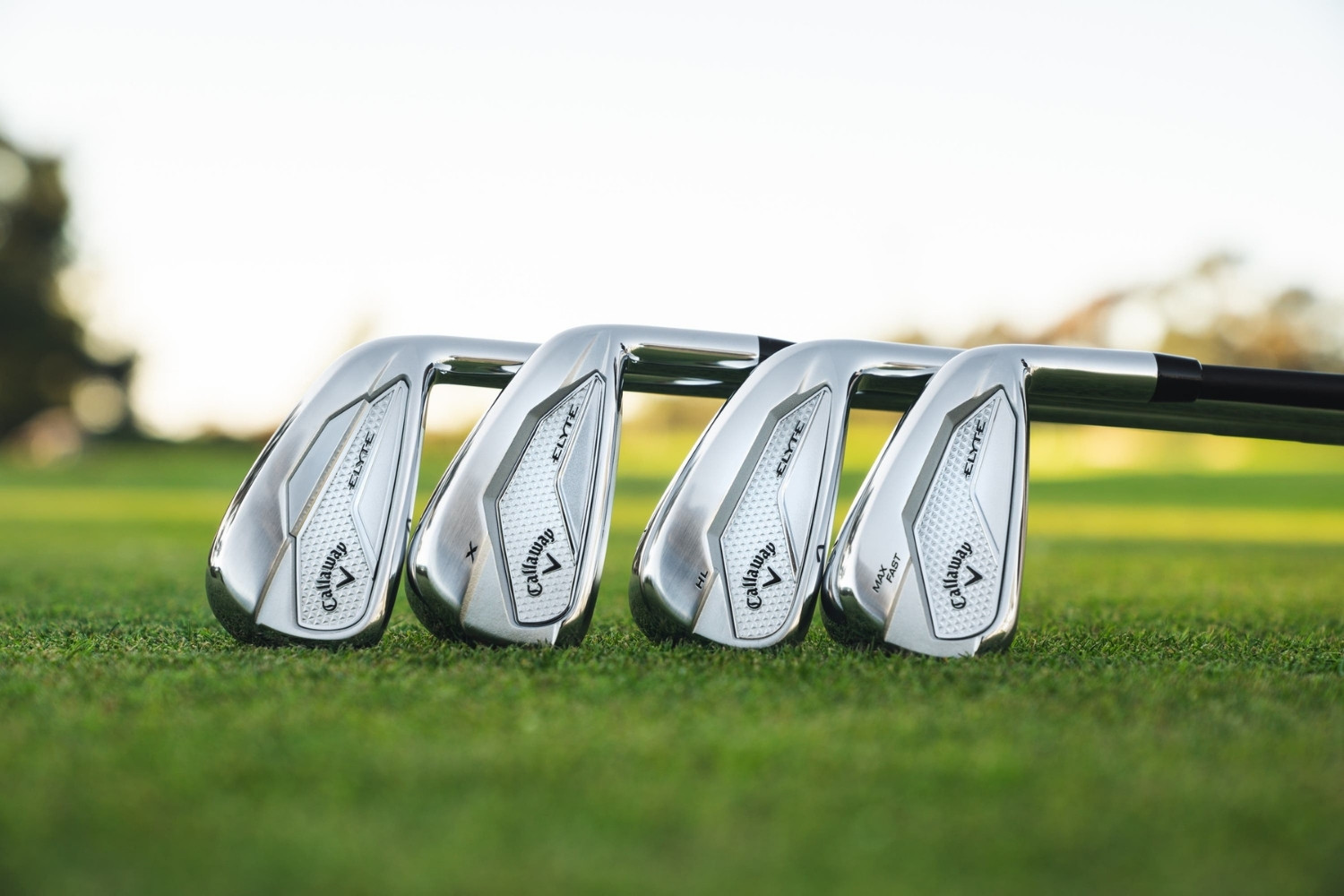 what-irons-should-i-buy-quiz